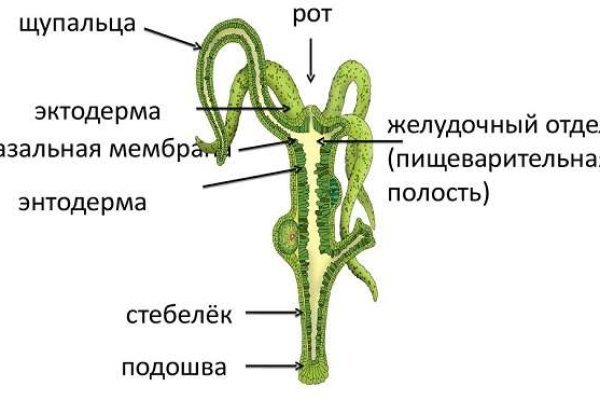 Kraken клирнет зеркало